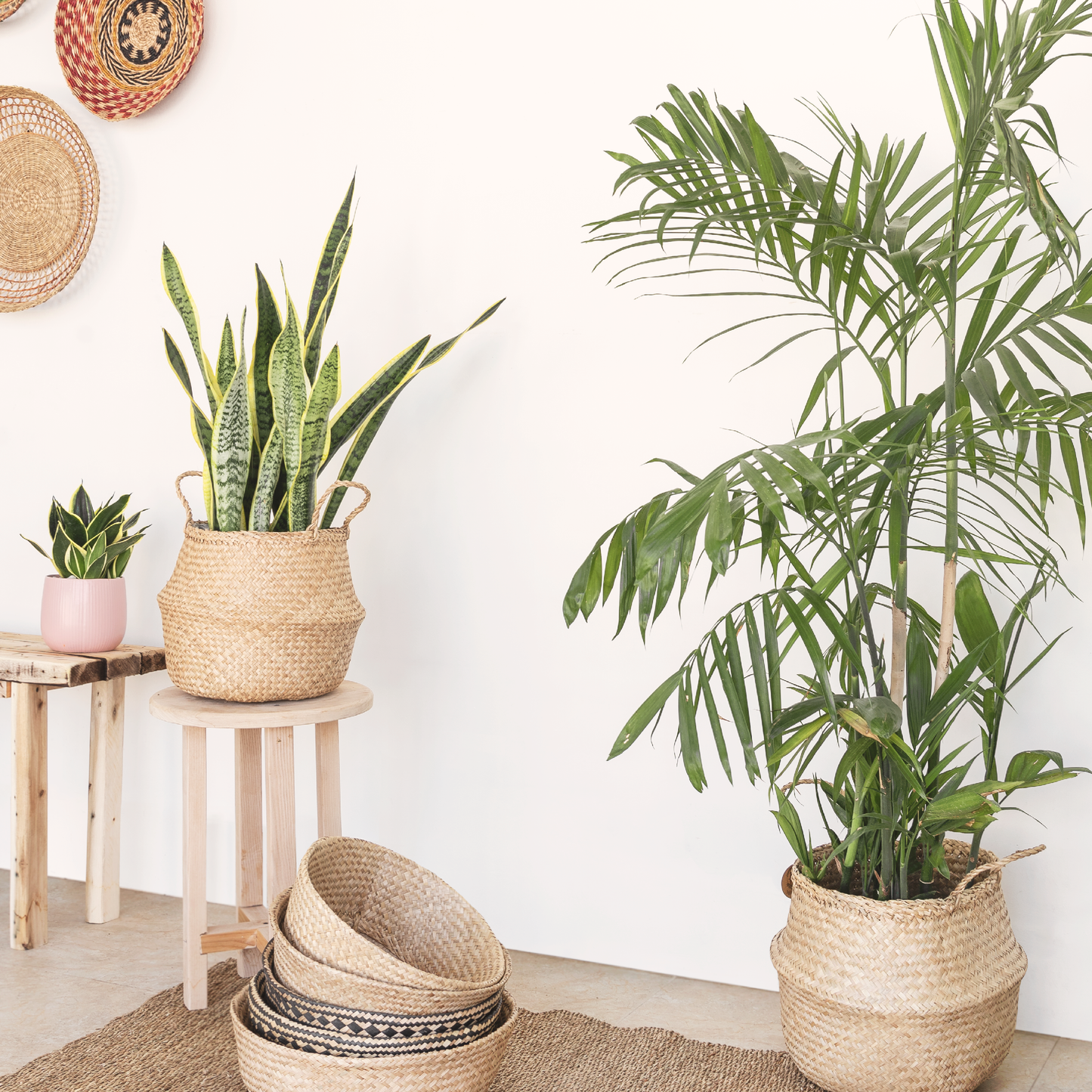 Round Seagrass Wicker Planter Vase Set of 2