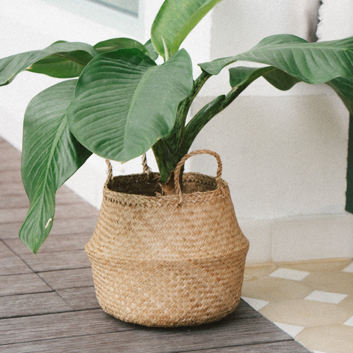 Seagrass Wicker Planter Vase with Handles