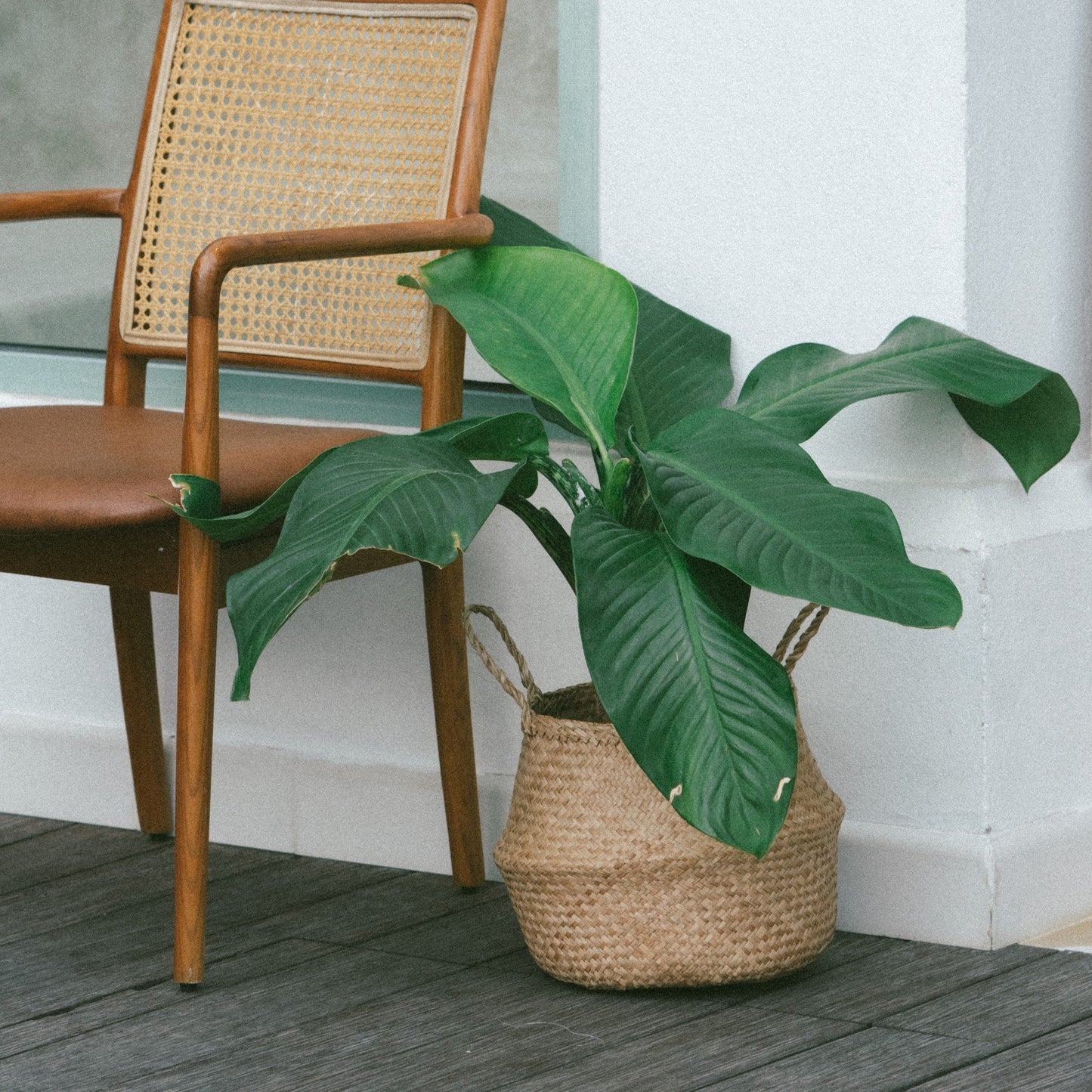 Seagrass Wicker Planter Vase with Handles