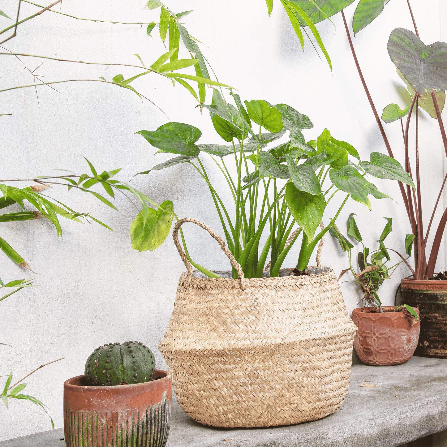 Round Seagrass Wicker Planter Vase Set of 2