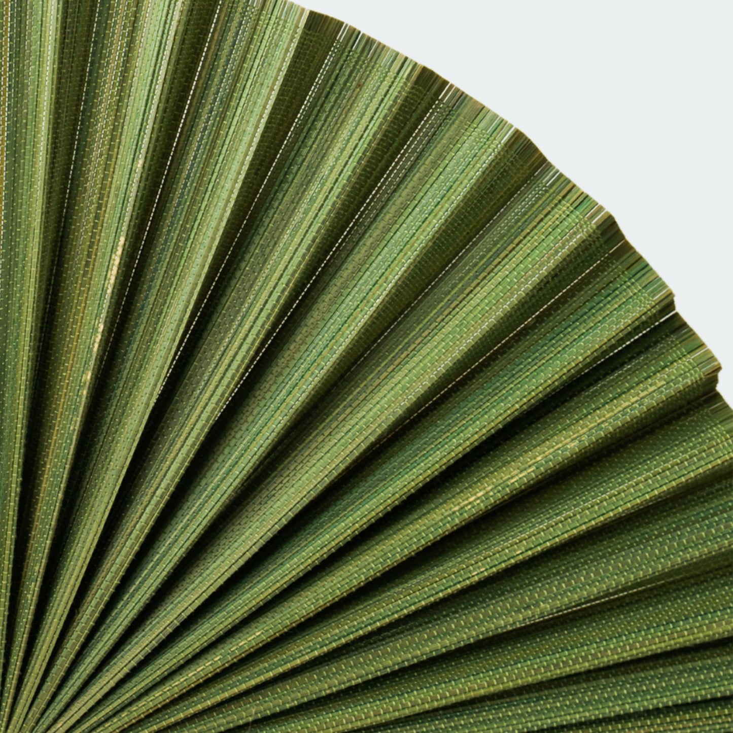 Moss Green Bamboo Folding Fan Wall Decor