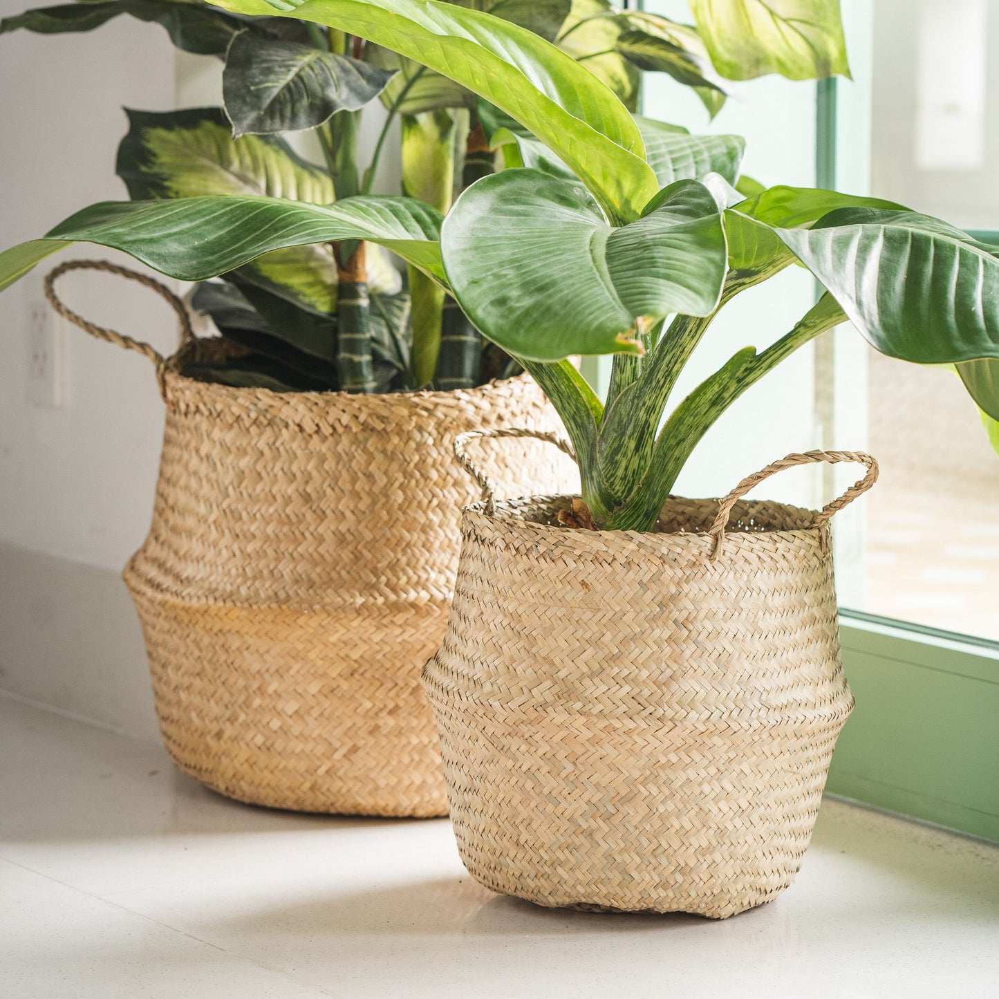 Seagrass Wicker Planter Vase with Handles